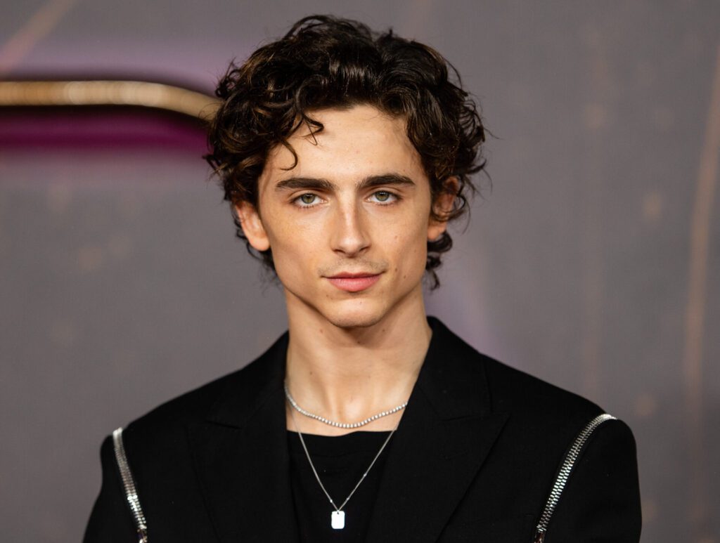 Timothee-Chalamet-causa-alvoroco-ao-aparecer-em-concurso-de-sosias-dele-1024x773 Timothée Chalamet causa alvoroço ao aparecer em concurso de sósias dele.